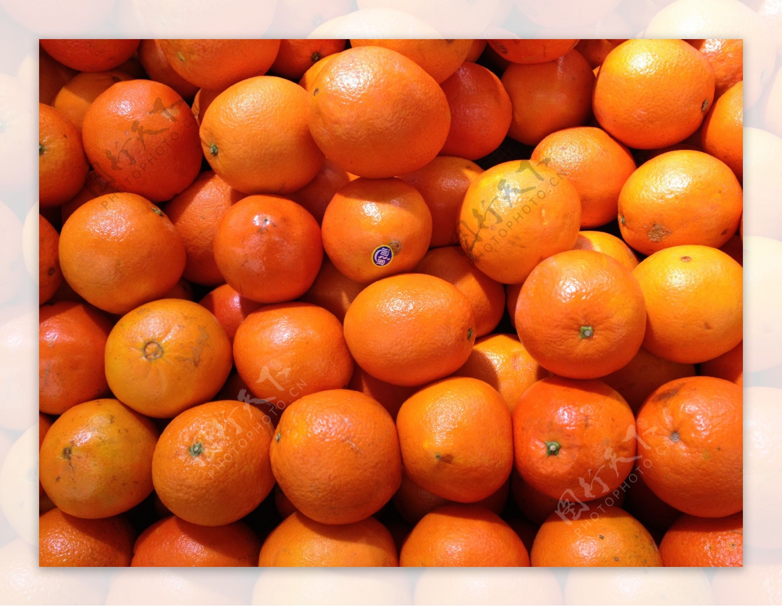橙鲜橙图片