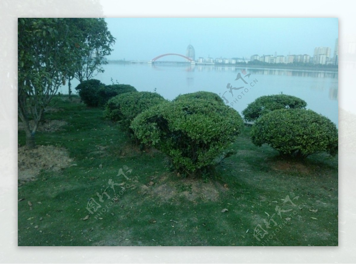 鄂州洋澜湖小游园风景图片