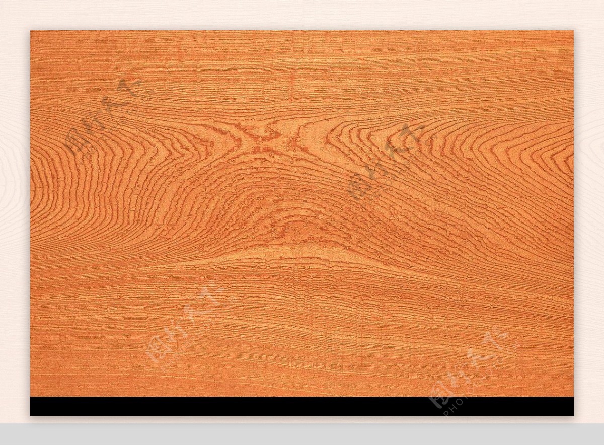 木纹树纹材质图片
