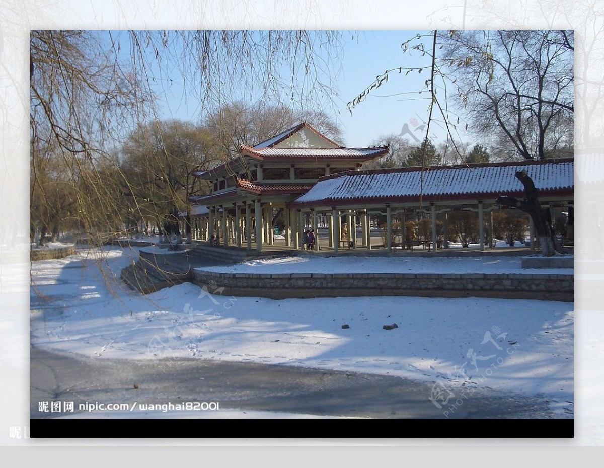 杏林湖冬景图片
