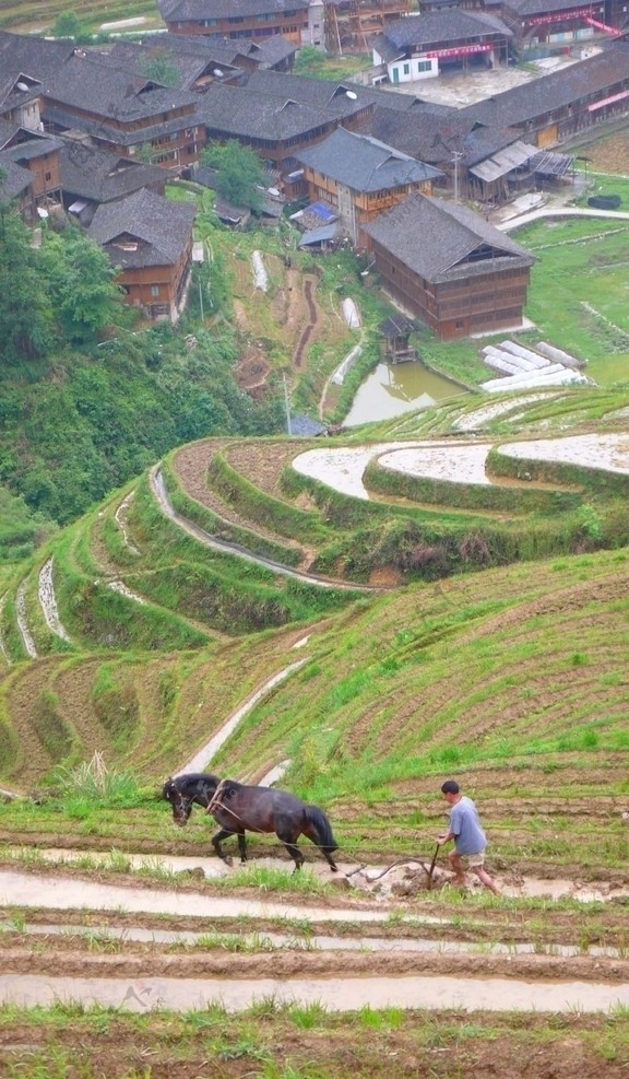 龙脊梯田图片