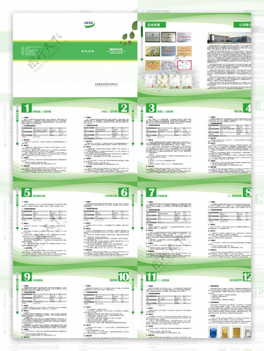 生物酶制剂产品画册图片