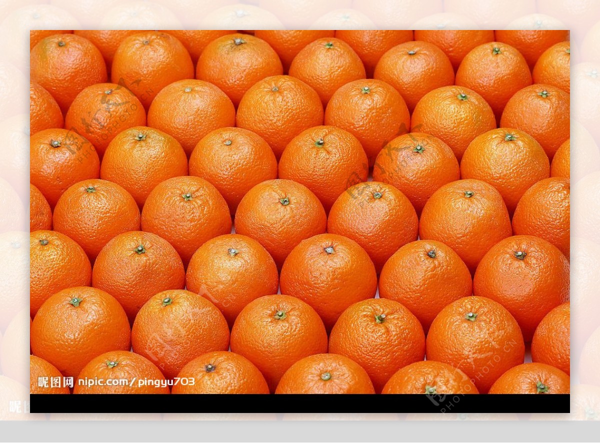 橙子排列图片