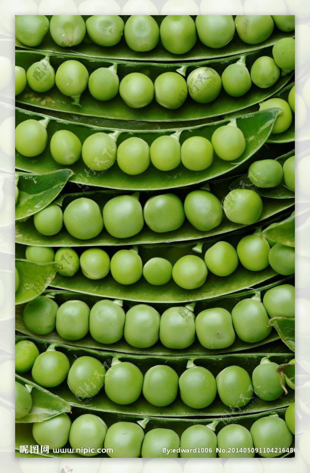 豌豆绿色蔬菜有机蔬菜图片