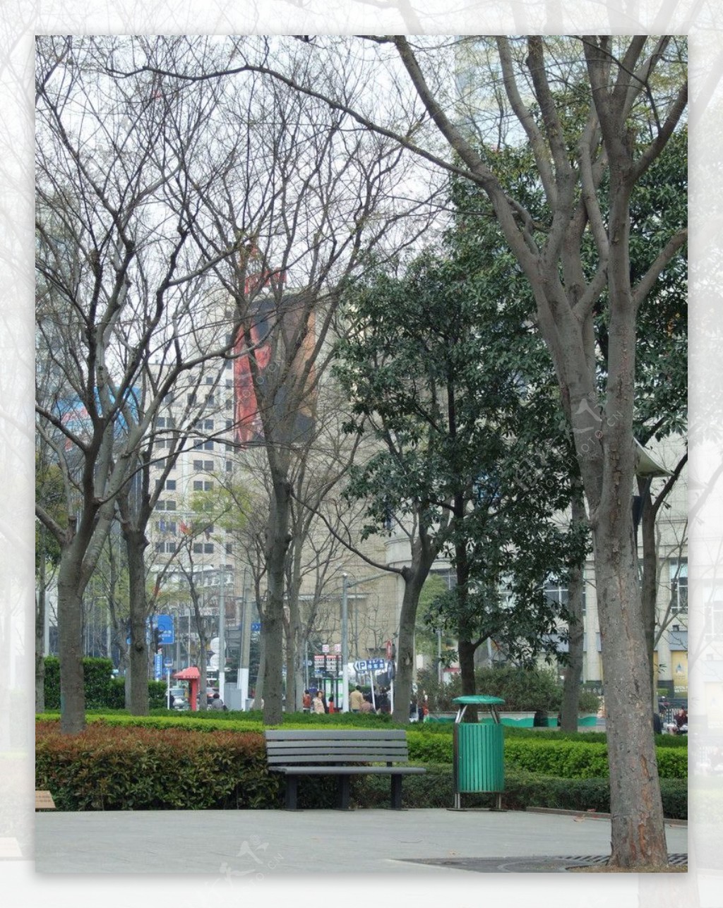 上海延中绿地冬景图片