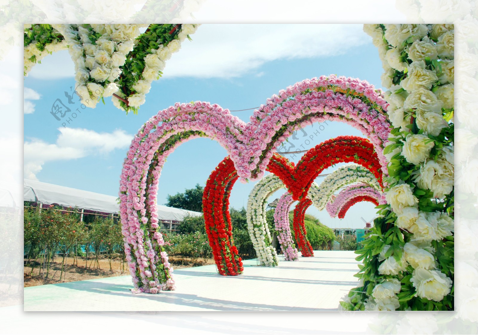 广州番禺百万葵园婚纱照拍摄的好背景图片