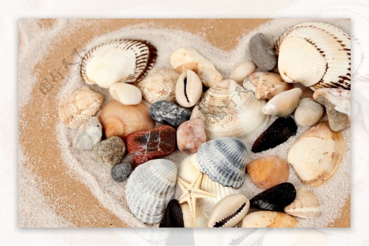 沙滩爱心贝壳图片