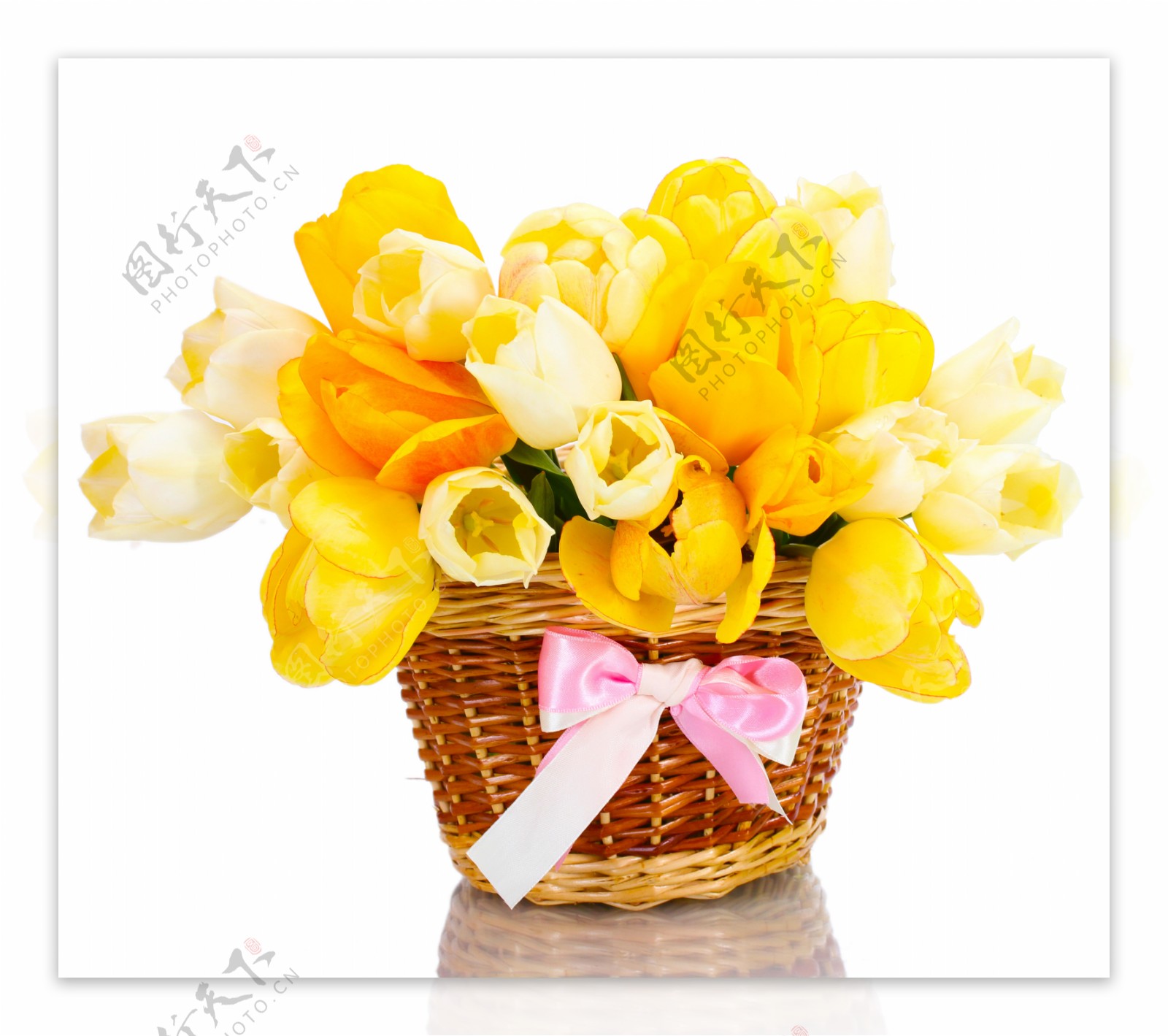 花篮里的黄色郁金香图片