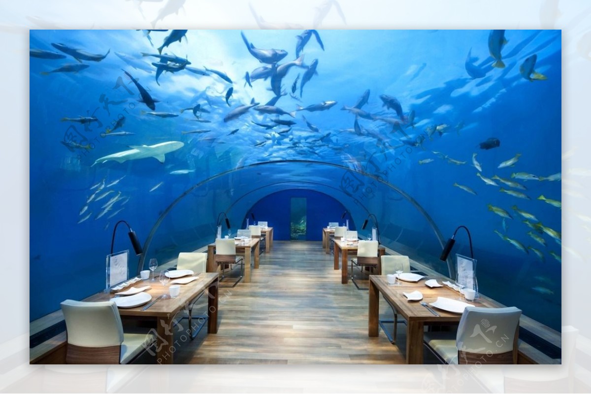 海底餐馆图片
