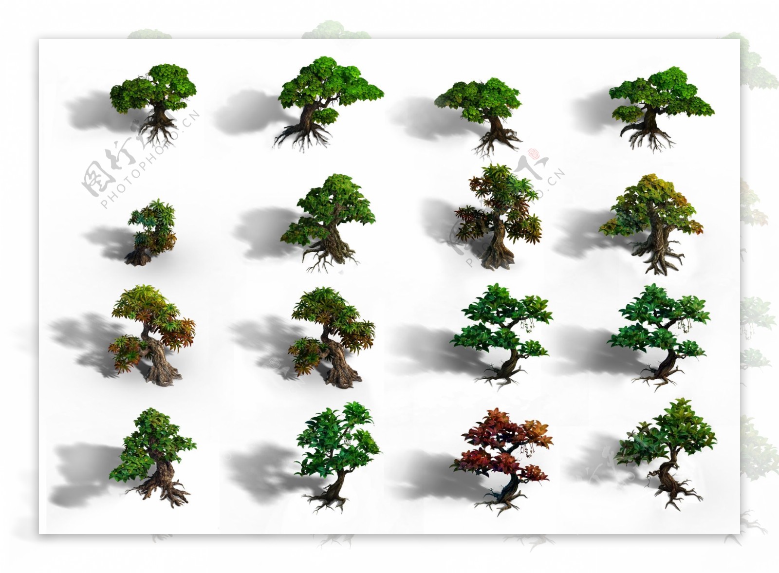 新品种树游戏树木图片