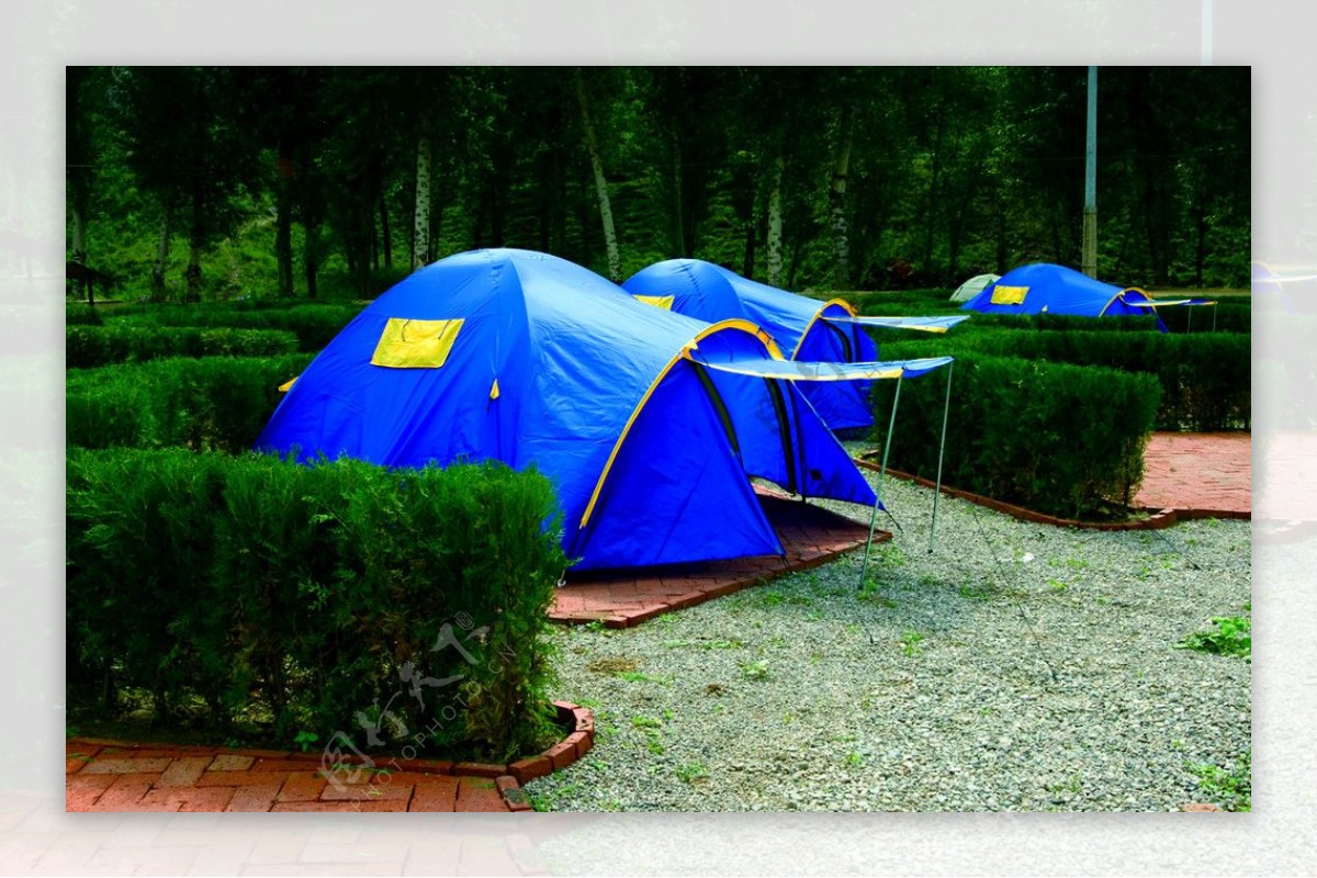 薰衣草庄园内的帐篷图片