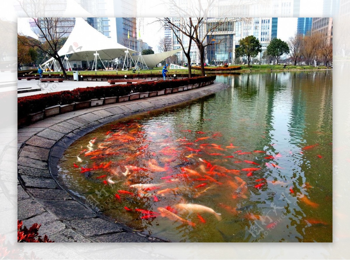 陆家嘴中心绿地近水平台图片