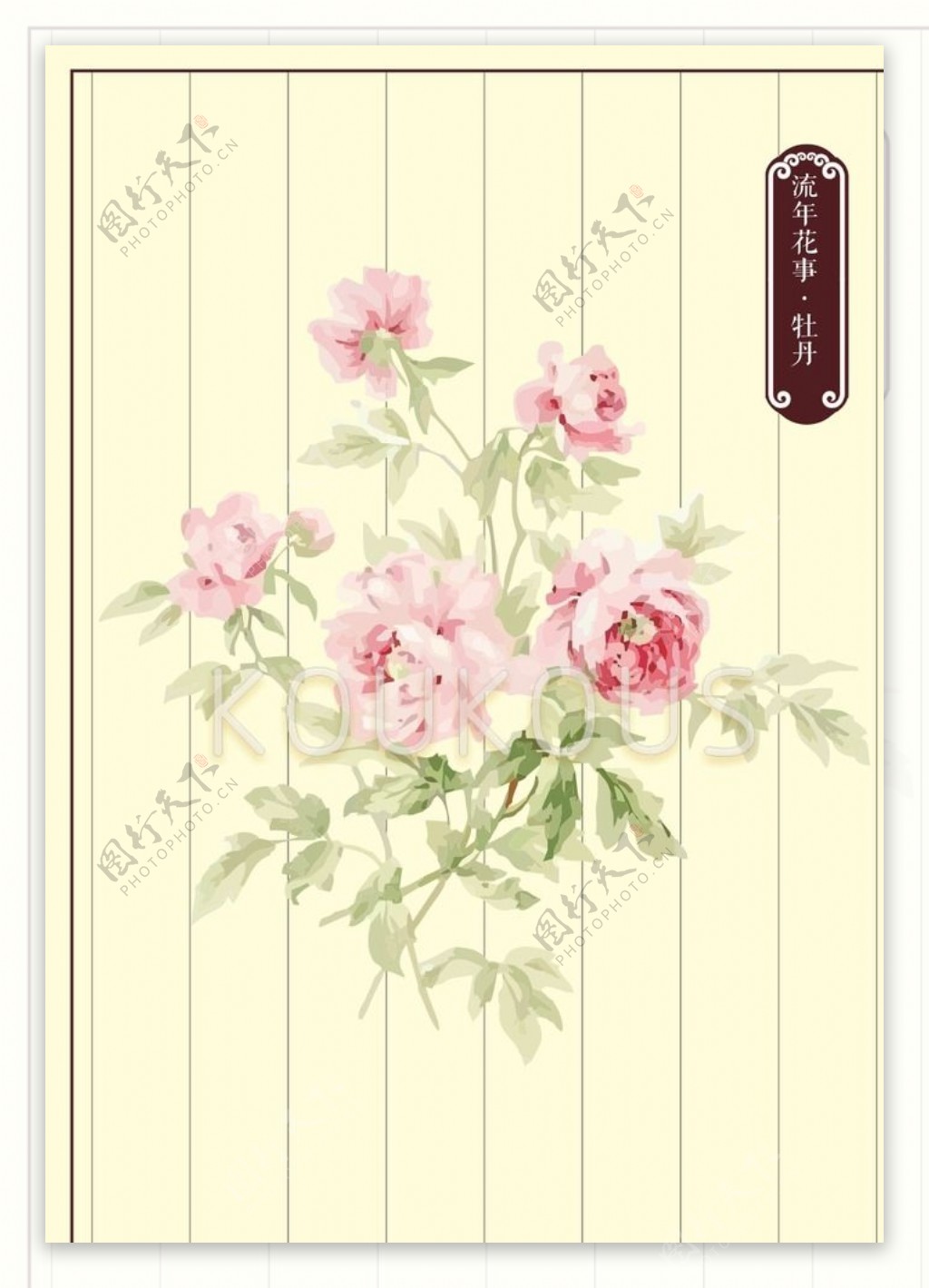 牡丹花花卉素材图片