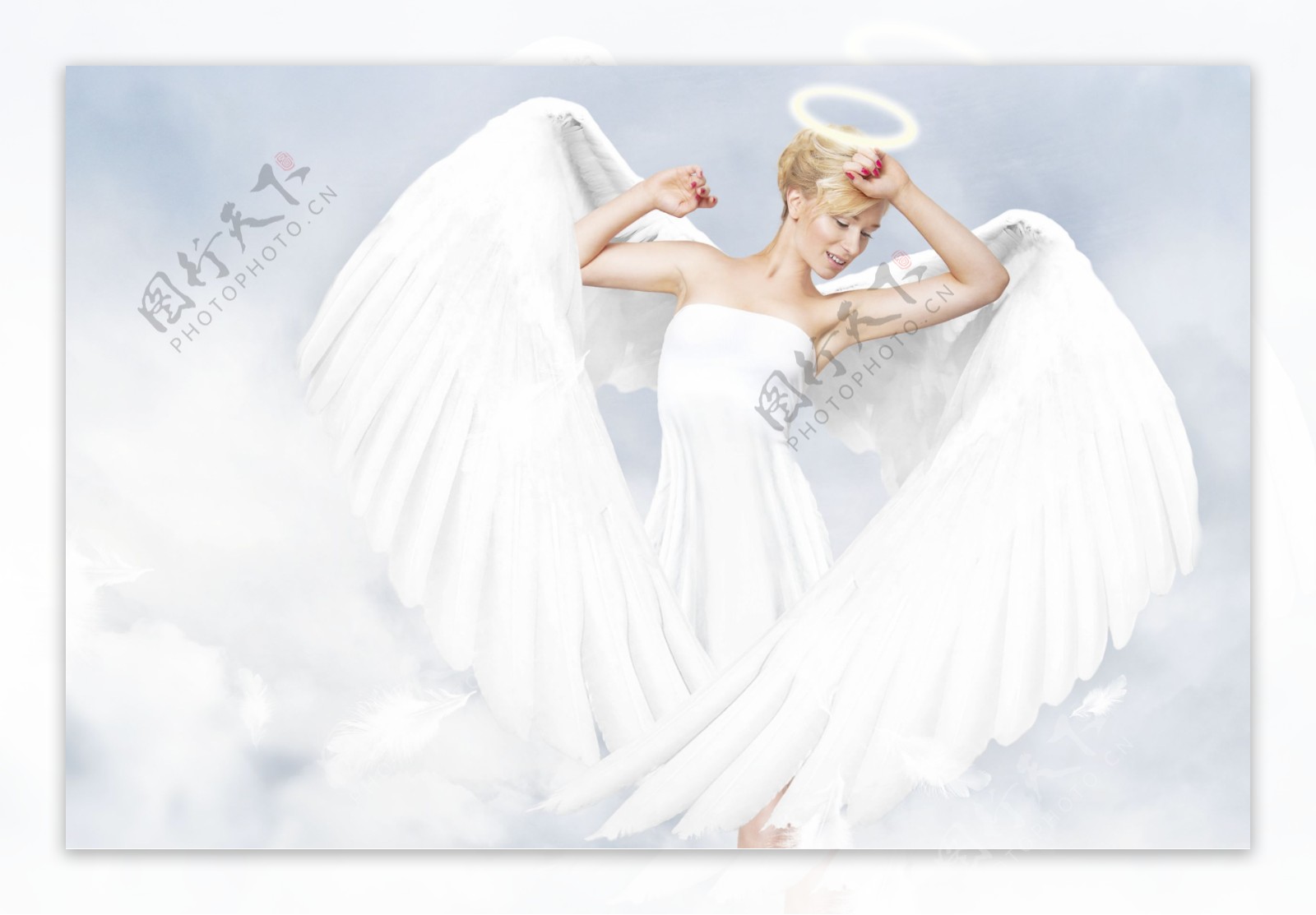 天使翅膀白色纯洁PNG图片素材-编号39346339-图行天下