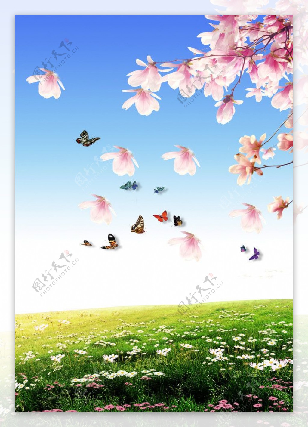 Wallpaper : 1920x1200 px, butterflies, depth, field, flowers, insects ...