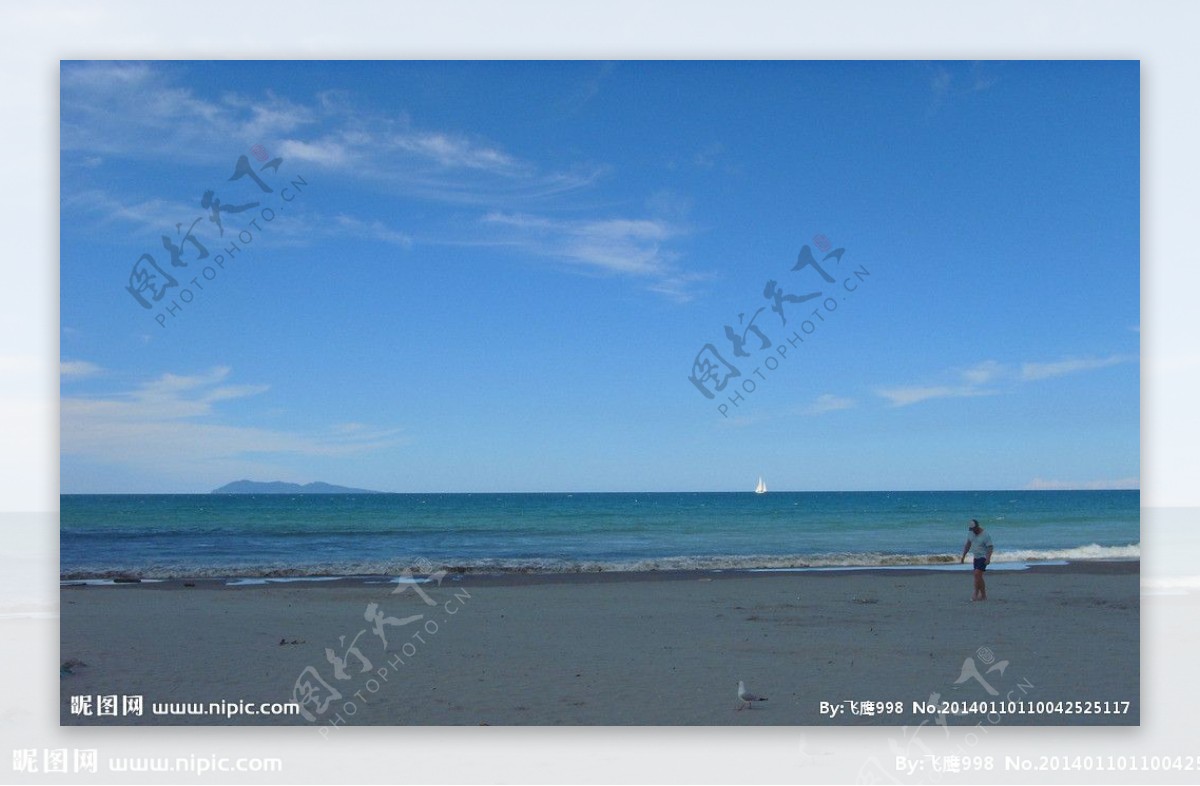 新西兰海滨图片