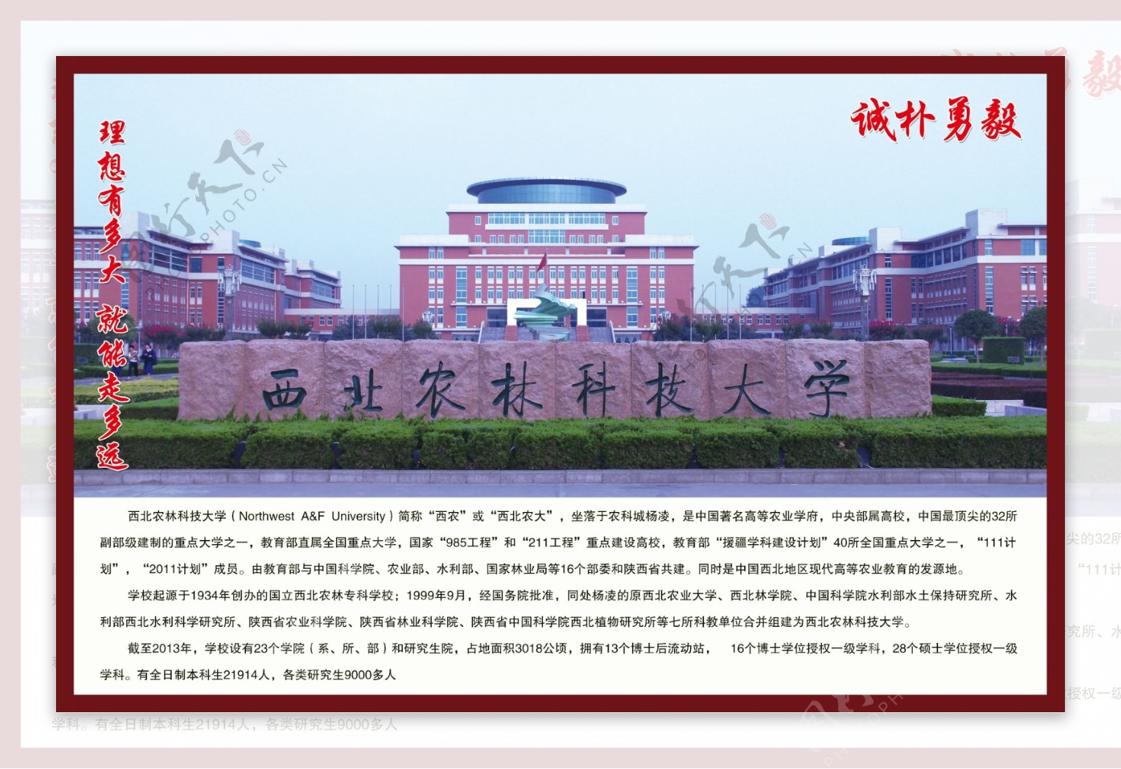 西北农林科技大学图片