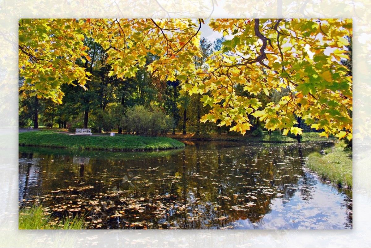秋季湖泊公园图片