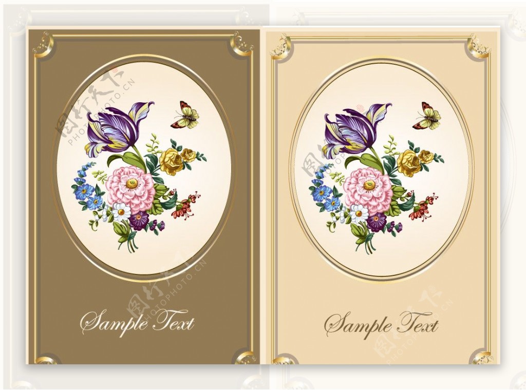 梦幻古典花纹花朵蝴蝶边框相框图片