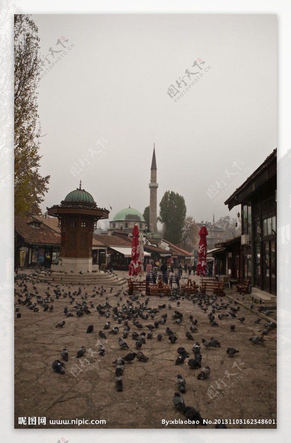 萨拉热窝的鸽子广场图片