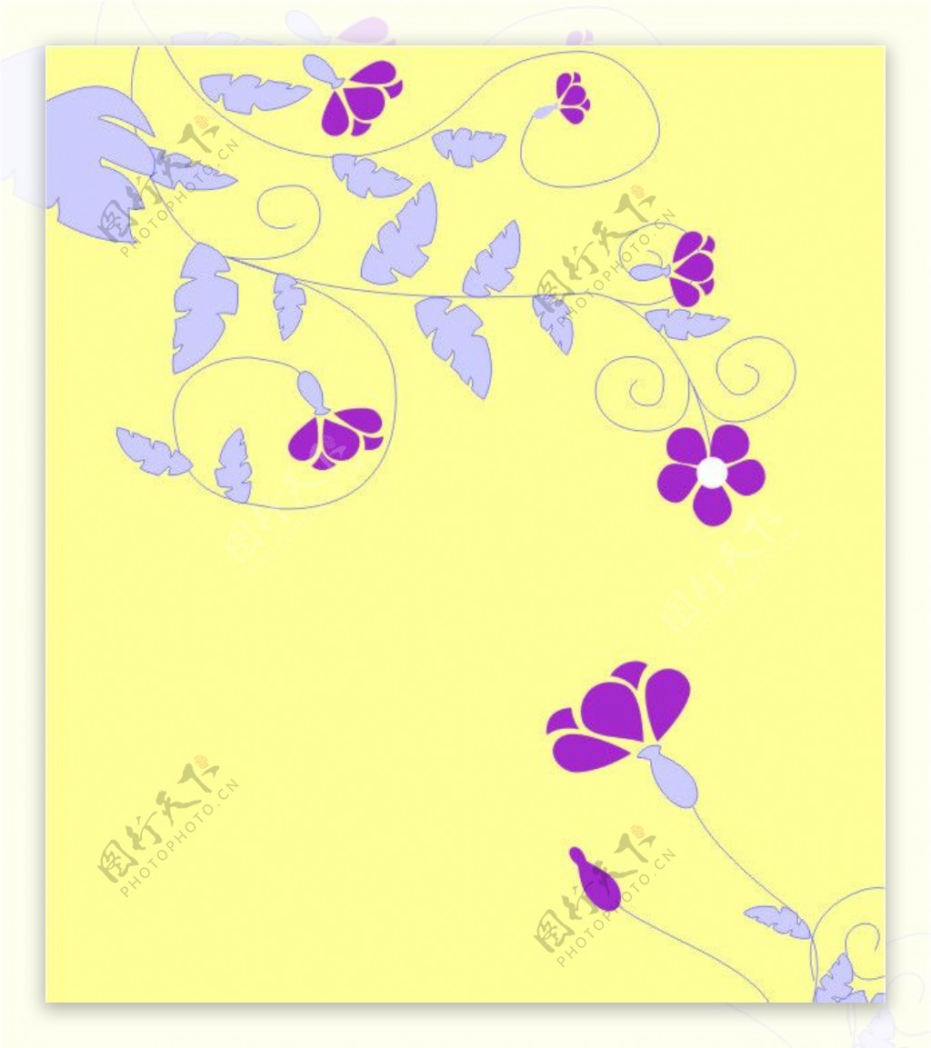 紫叶花图片