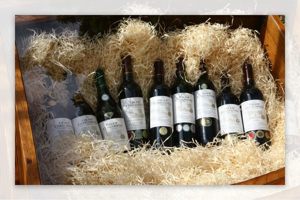 南非大廉斯坦夏葡萄酒庄园葡萄酒图片