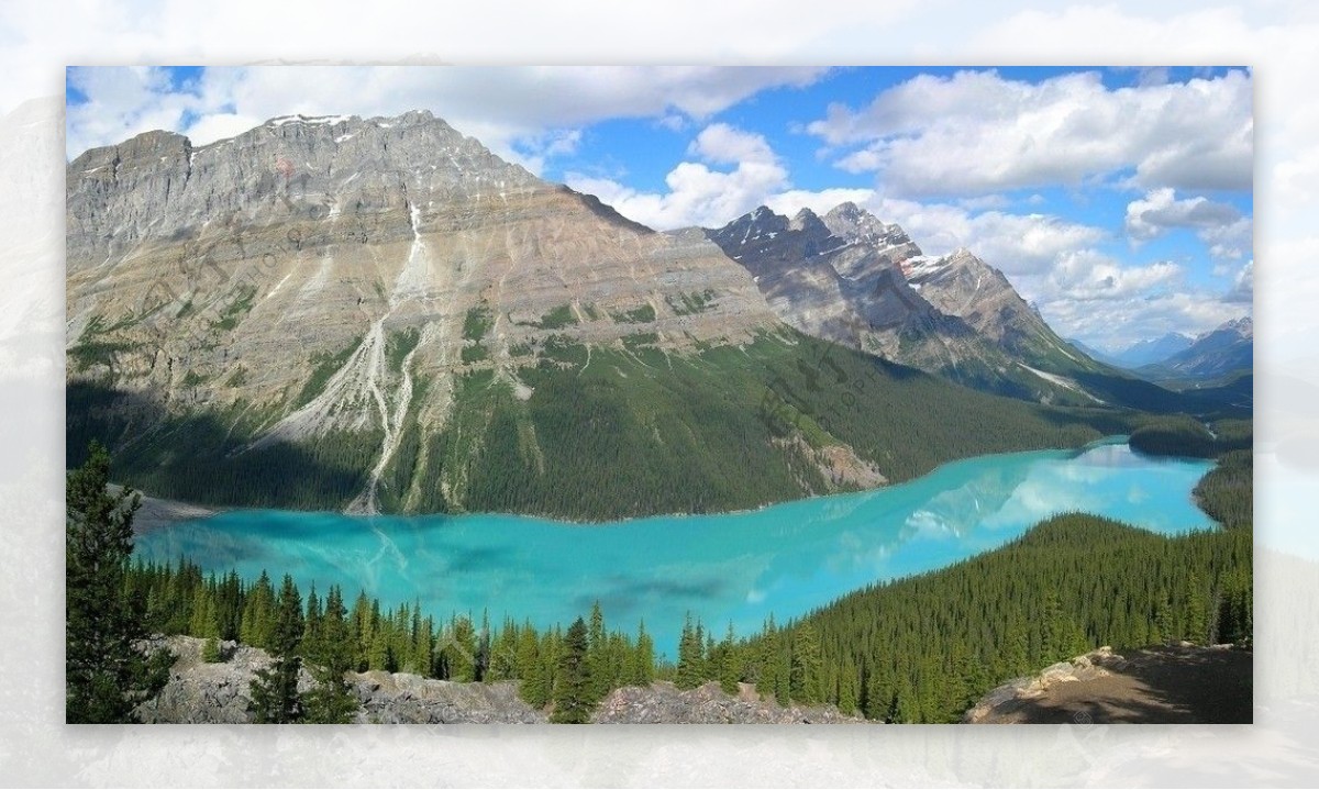 加拿大落基山沛托湖图片