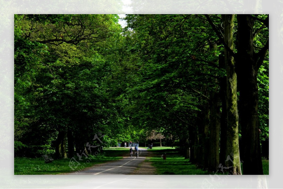英国沃特福德卡西伯里公园图片