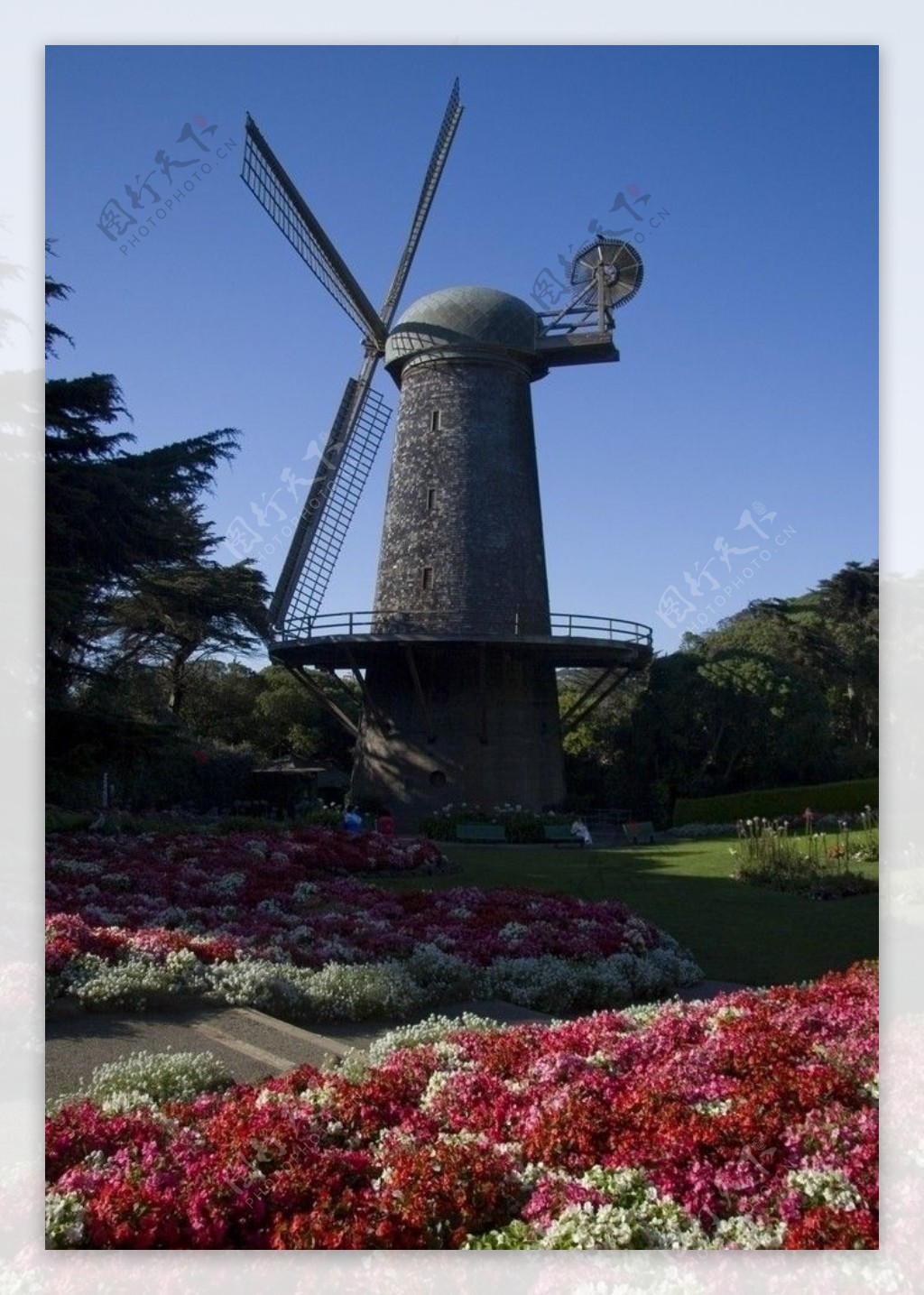 旧金山金门公园荷兰风车图片