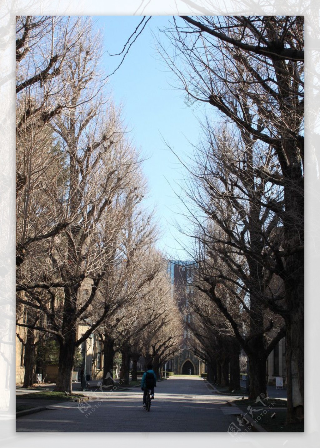 东京大学图片