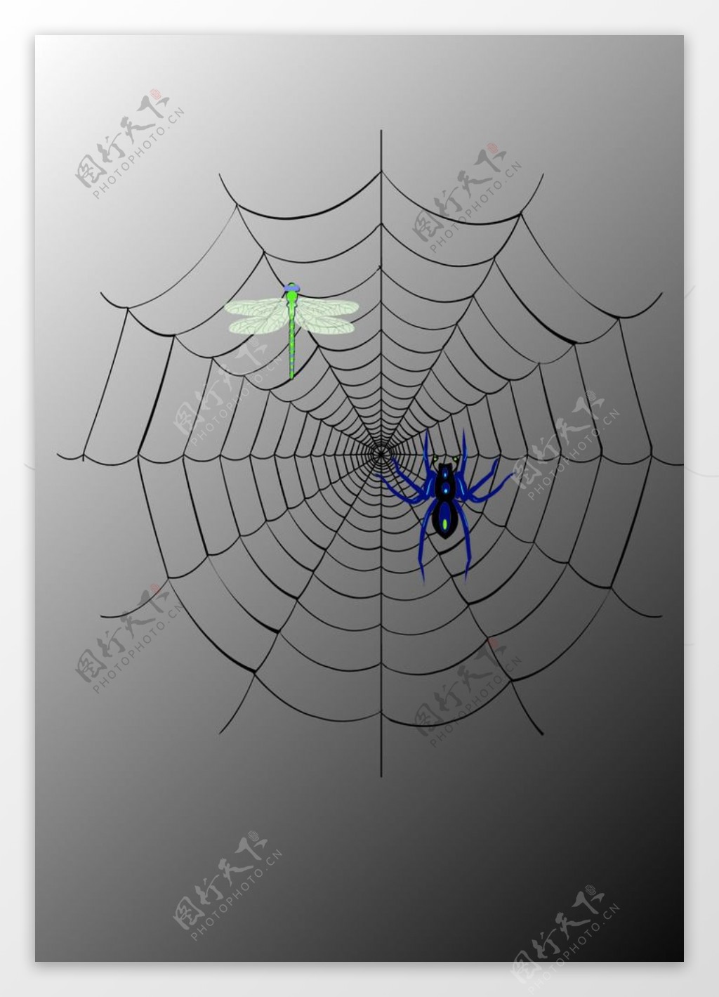 蜘蛛网52566_其它类_其它类_图库壁纸_68Design