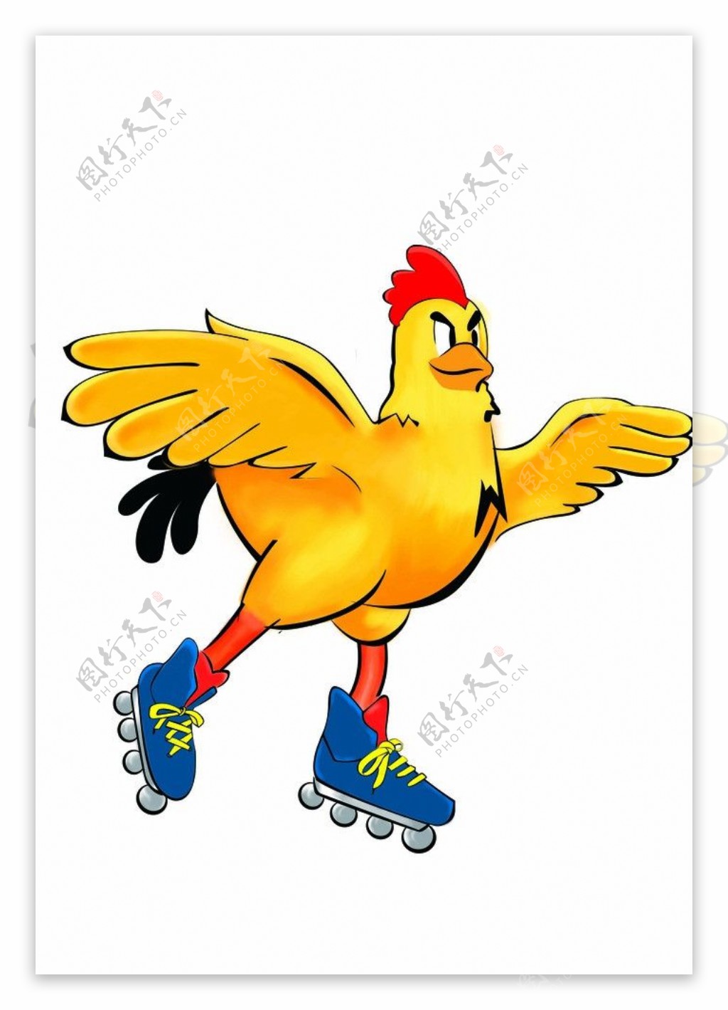溜冰的鸡图片