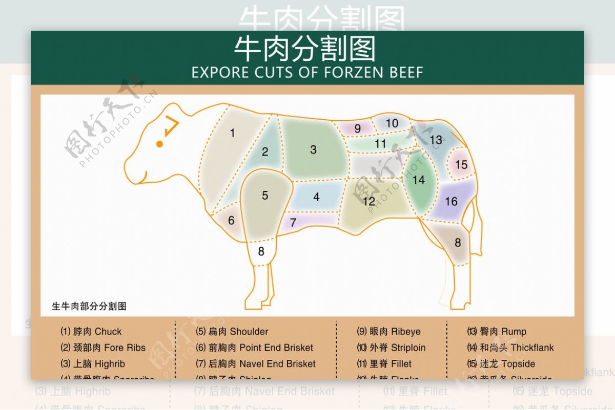 牛肉分割图图片