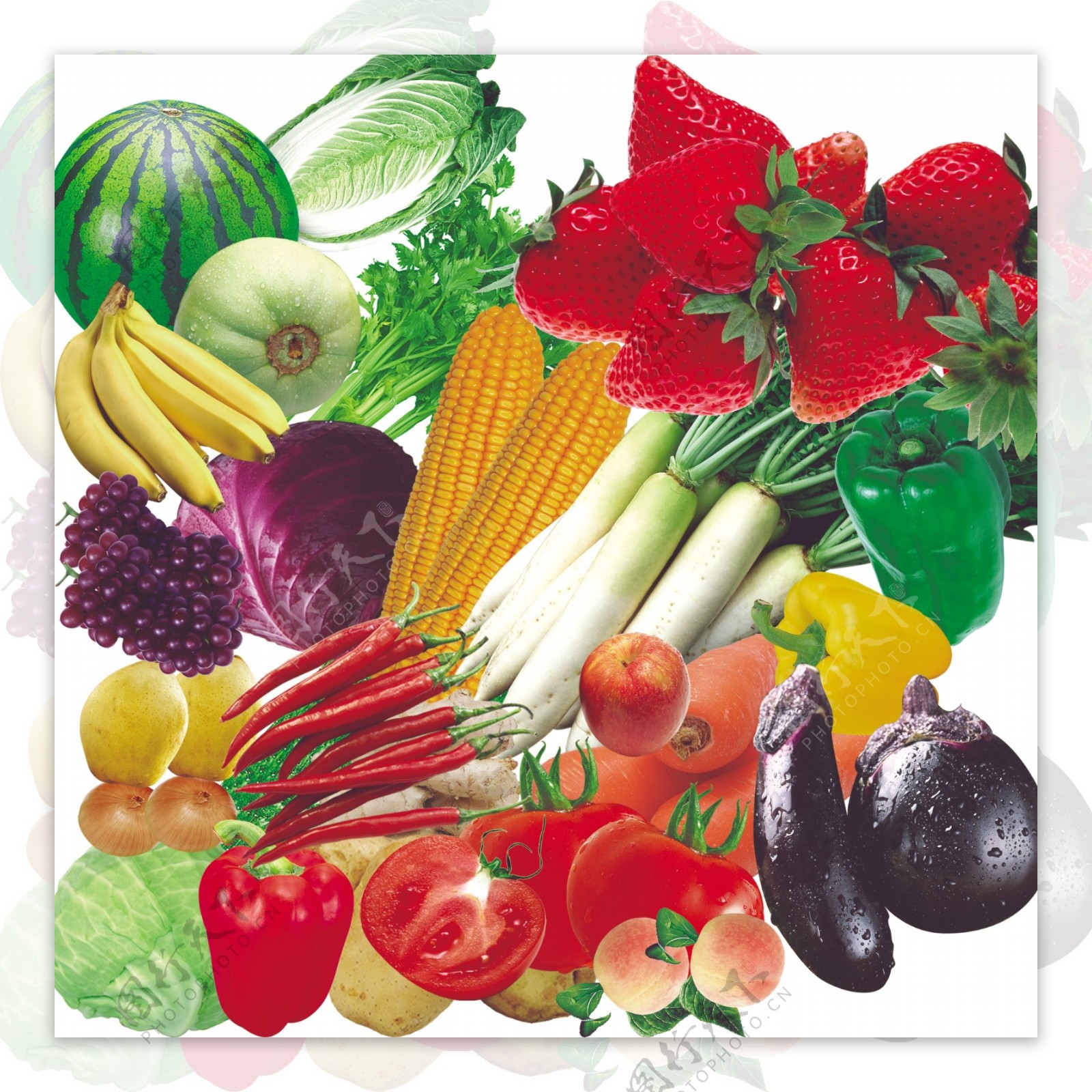 水果蔬菜大全图片