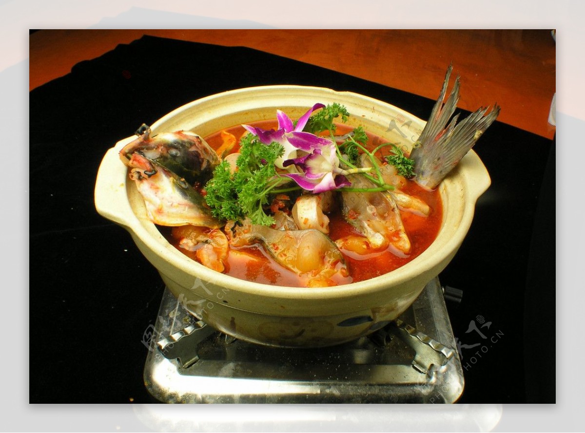砂锅鮰鱼图片