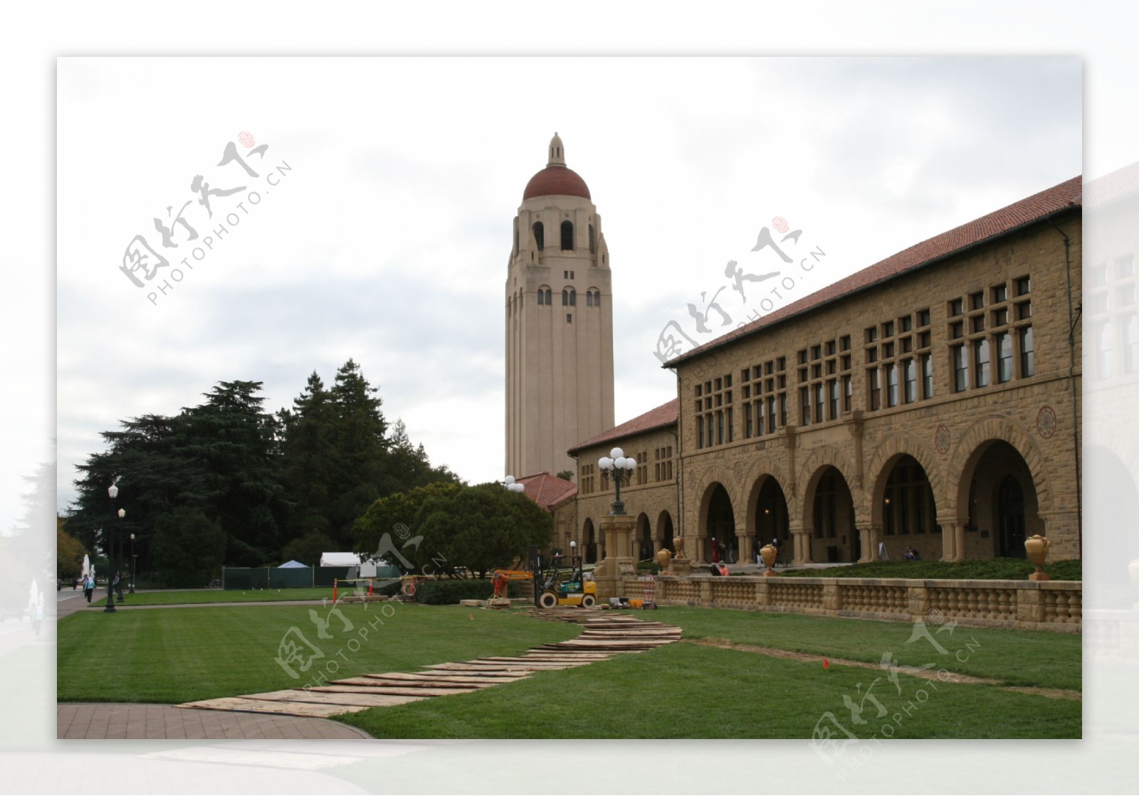 美国斯坦福大学图片