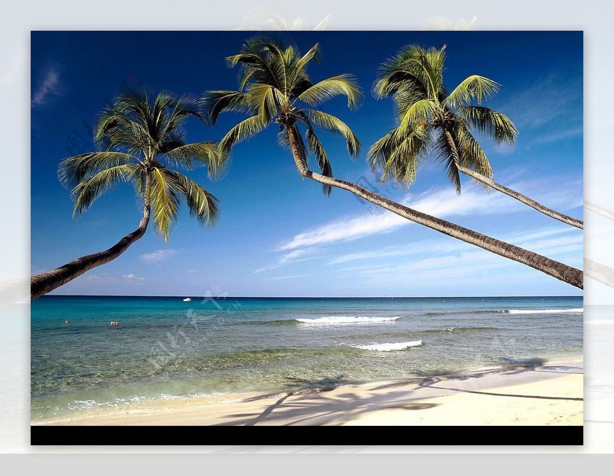 西印度群岛巴巴多斯国王海滩图片