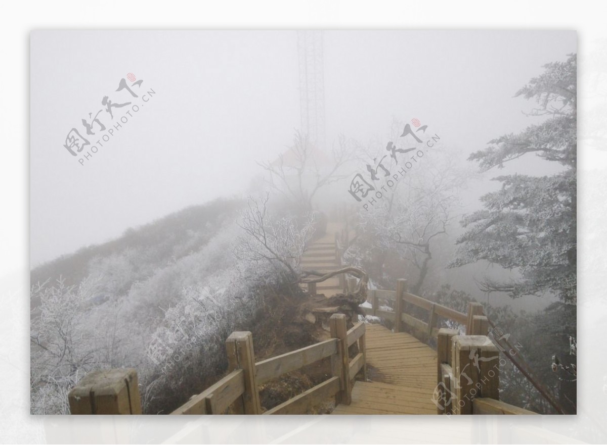 西岭雪山雪景图片