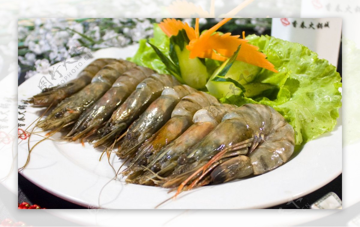 竹节虾图片