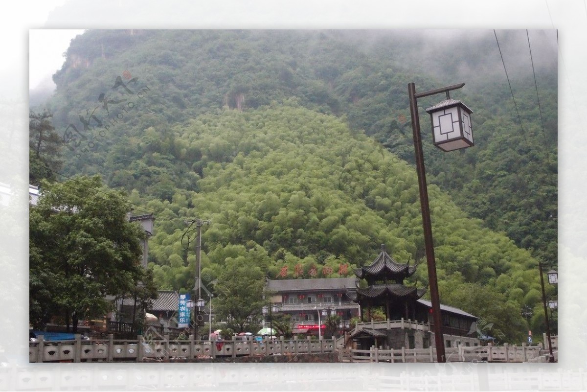 竹林风景图片