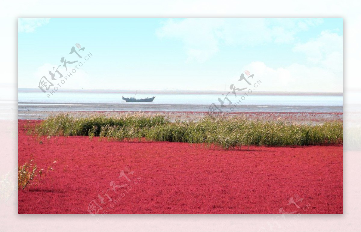 红海滩风光图片