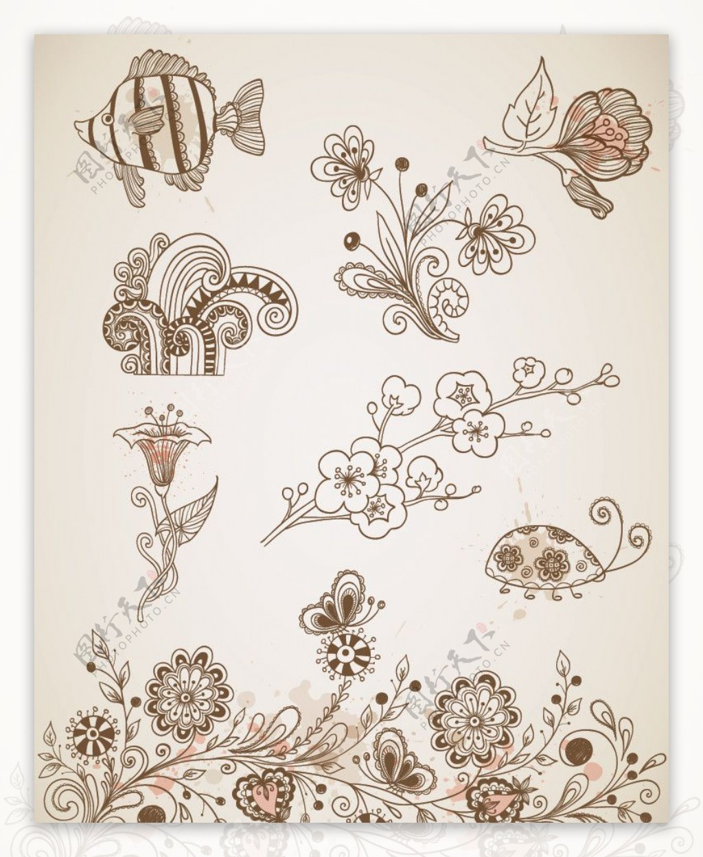 古典花纹花朵装饰设计图片