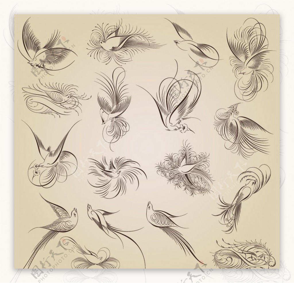 小鸟花纹花边装饰设计矢量图片