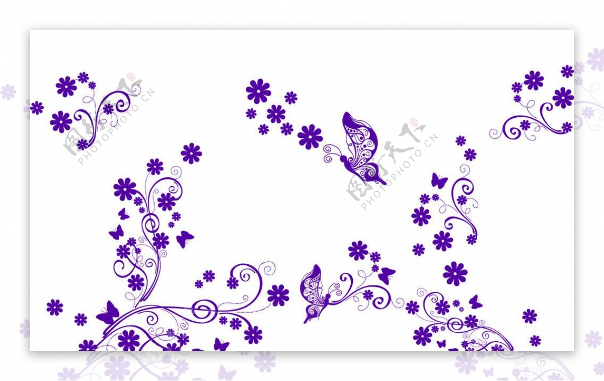 蝴蝶花紋图片