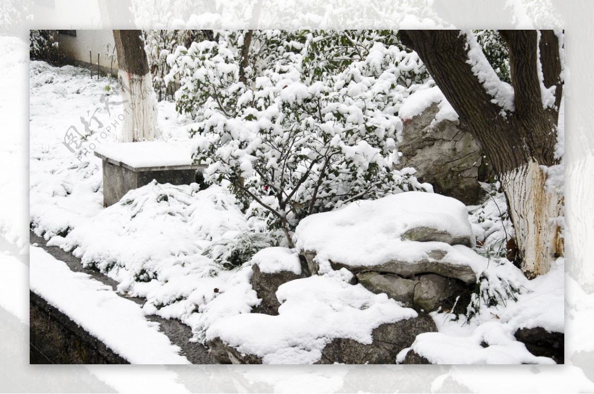 西湖雪景图片