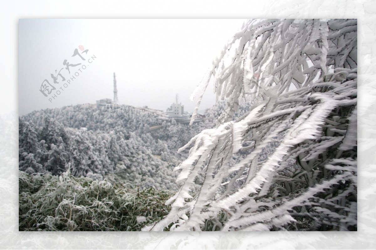 黄山白雪图片