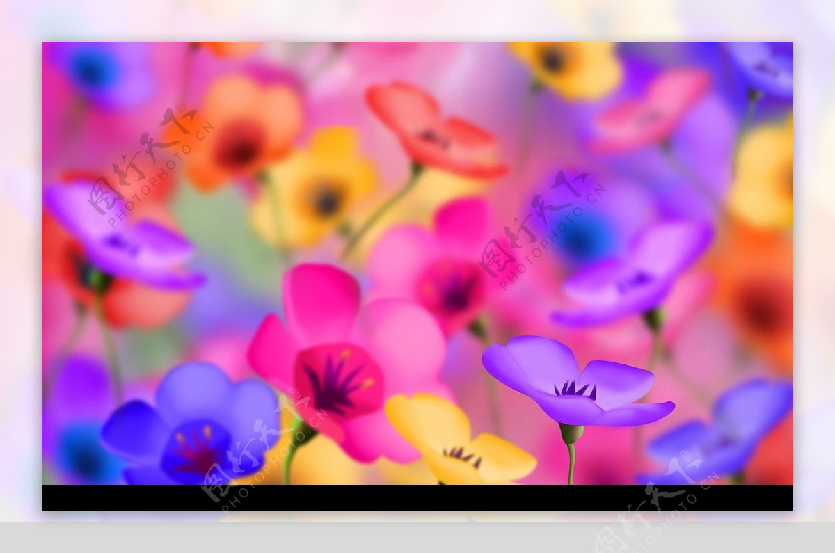 抽象花卉图案设计图片