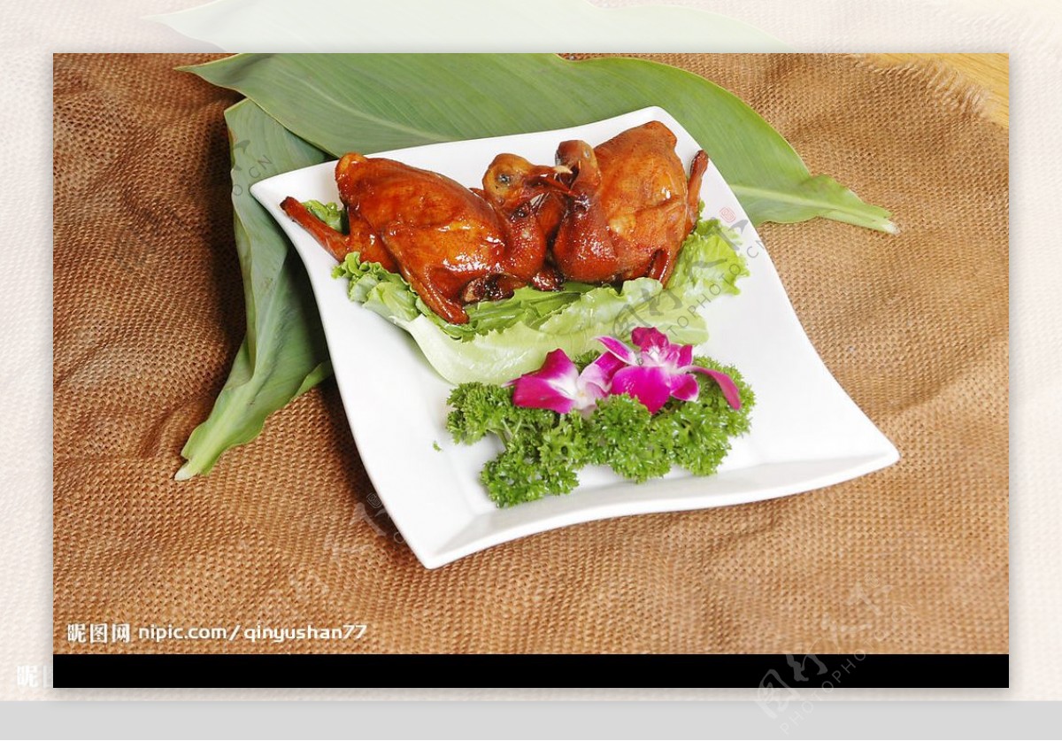 广东餐饮美味菜式红烧乳鸽图片