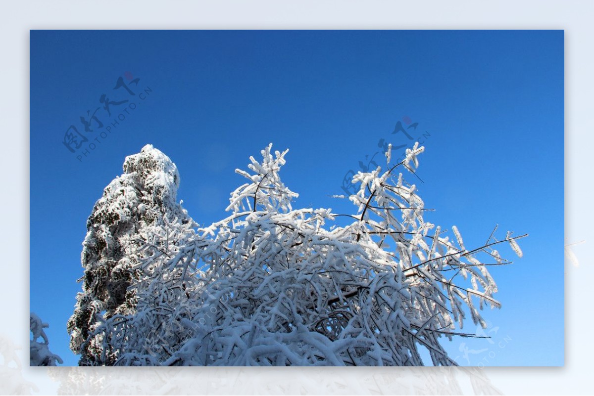 雪景图片