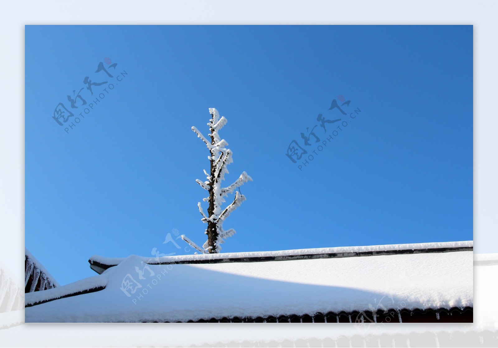 雪景图片